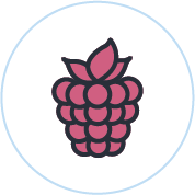 Goût framboise fruits rouges