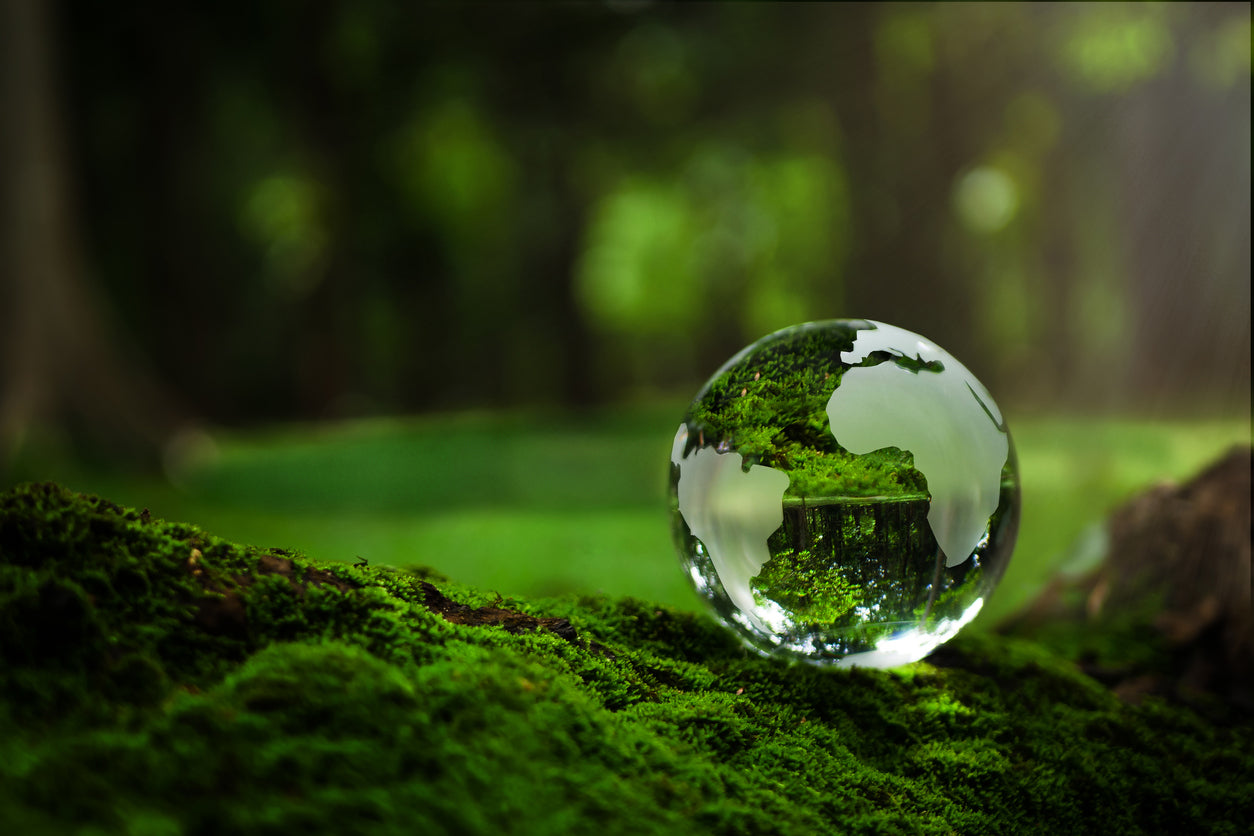Respect de l'environnement